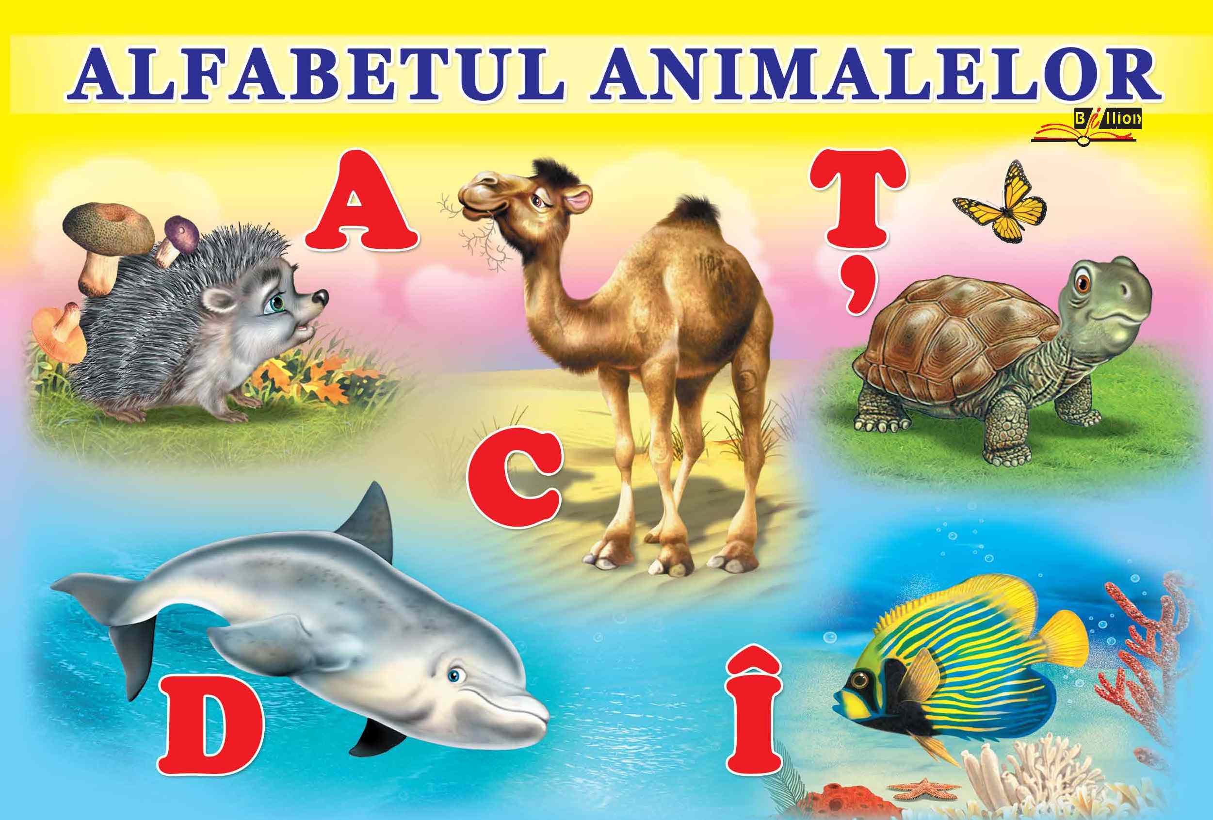 Carton_Alfabetul-animalelor-1.jpg