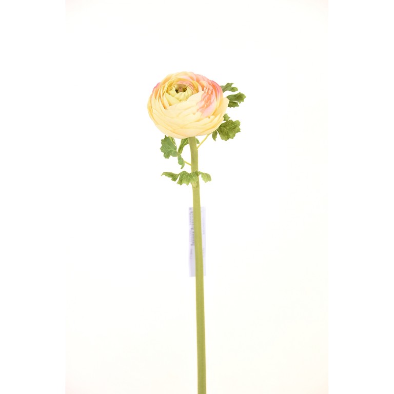 CM Ranunculus 60 cm roz – Casstella.md